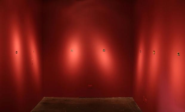 David Lefkowitz, Pictures of Common Detritus, 2000-2011, installation view at Carrie Secrist Gallery Image