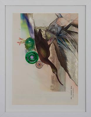 Audubon Drawing Series
387, 2010
mixed media on paper
12 1/4 x 9 inches Image