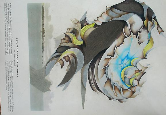 Megan Greene
207, 2011
mixed media on paper
9 x 12 inches Image