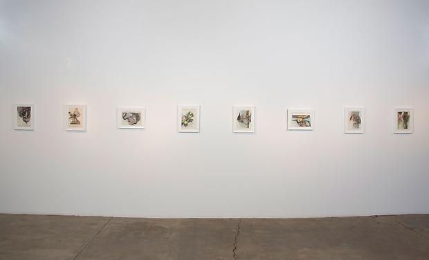 Megan Greene
installation view Image