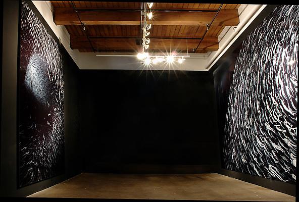 Installation shot of Pelagic & Hadal, 2010 Image