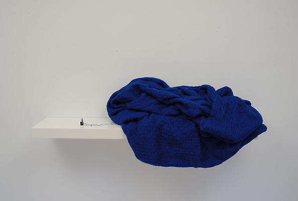 Liliana Porter
Forced Labor: weaver (blue III), 2008
wooden shelf, blue fabric, small base & figurine
13 x 43 1/2 x 11 inches Image