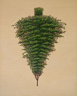 David Lefkowitz
Inverted Pine, 2008
Oil on plywood
30 x 24 inches Image