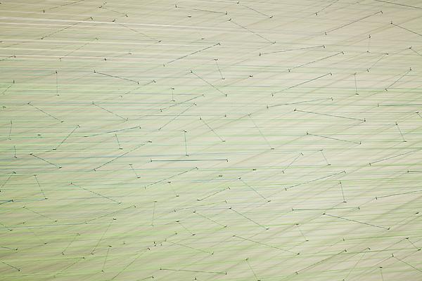 zip drawing, 2012
Detail
Egyptian cotton thread and staples
8 h. x 10 x 35 feet
Installation view at Carrie Secrist Gallery, Chicago

Photo by Derek Porter Image