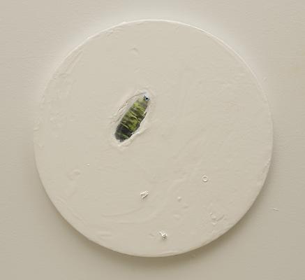 The Pond, 2011
Acrylic, assemblage, and figurine on canvas
12 inch diameter Image
