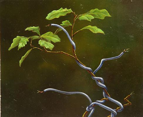 Tangle #30, 2010
oil on wood panel
10 x 12 inches Image