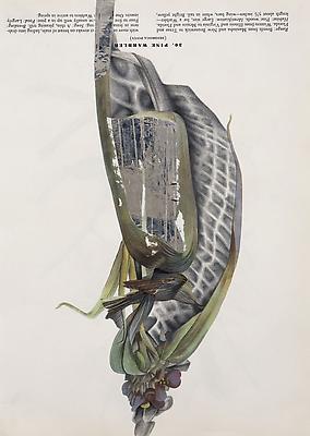 Megan Greene
Audubon Drawing Series
30, 2010
mixed media on paper
12 1/4 x 9 inches Image