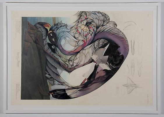 Megan Greene
431 (2), 2010
mixed media on paper
26 1/4 x 39 1/4 inches Image