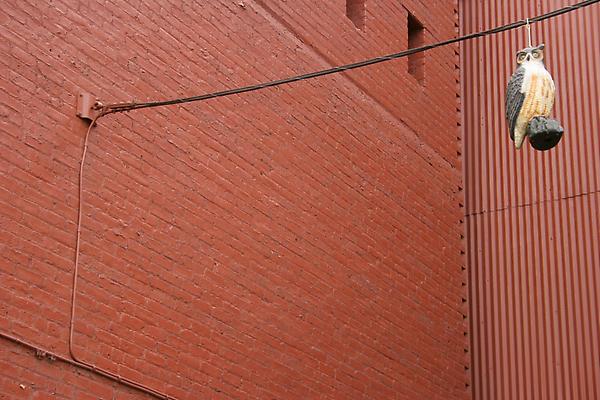 Liza Berkoff
Bird on a Wire, 2009
archival pigment print
16 x 24 inches Image