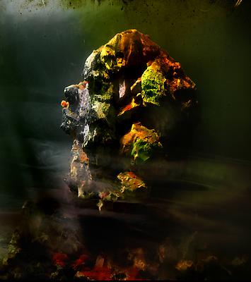 Eroded Man 88g, 2010
C-print
27 x 24 inches
Edition of ten Image