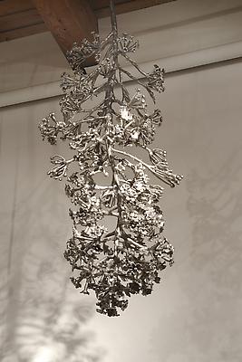 Carolyn Ottmers
Splice #8, 2010
cast stainless steel
dimensions variable Image