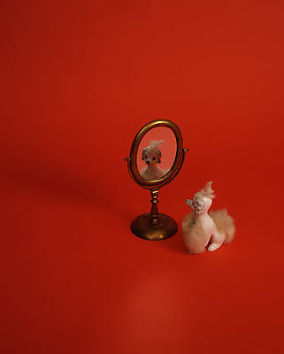 Liliana Porter
Dog, 2004
cibachrome
12 x 12 x 1 inches Image