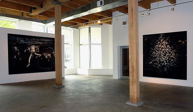 Sibille and Progeny installation shot, 2010 Image