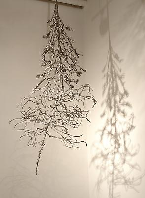 Carolyn Ottmers
Splice #7, 2010
cast stainless steel
dimensions variable Image