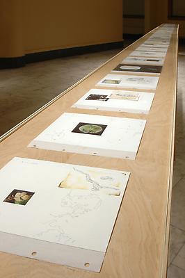A-ZYM, 2006
27 mixed media collages on paper, wood table, glass
28 ft x 16 inches Image