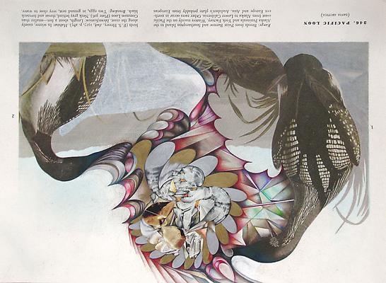 Megan Greene
Audubon Drawing Series
346, 2010
mixed media on paper
9 x 12 1/4 inches Image