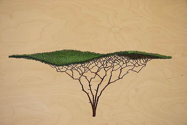 David Lefkowitz
Surface, 2008
Oil on plywood
36 x 48 inches Image