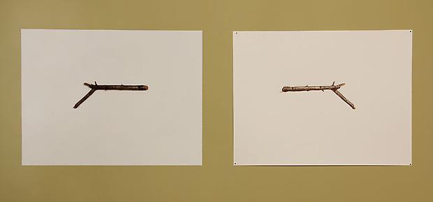 David Lefkowitz, Duel, 2010, Watercolor on paper and found stick, 24 x 72 inches Image