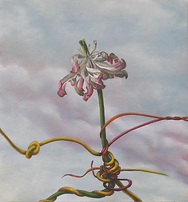 Tangle #25, 2010
oil on wood panel
21 x 19 inches Image