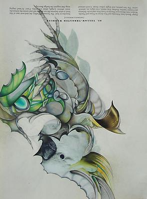 Megan Greene
Audubon Drawing Series
85, 2010
mixed media on paper
12 1/4 x 9 inches Image