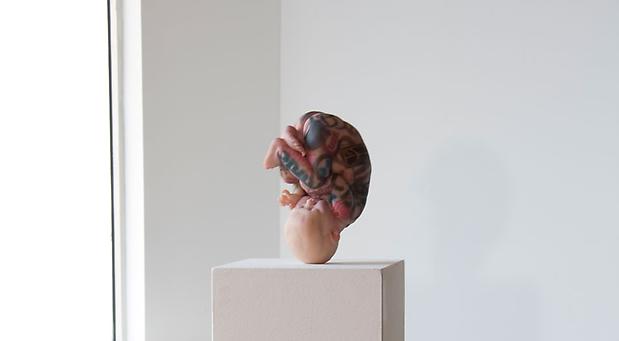 Dietrich Wegner
Cumulous Brand, Bill
Silicone and urethane
12 x 8 x 8 inches
installation view Image