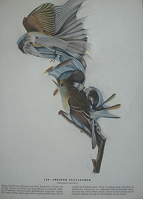 Megan Greene
129, 2011
mixed media on paper
12 x 9 inches Image