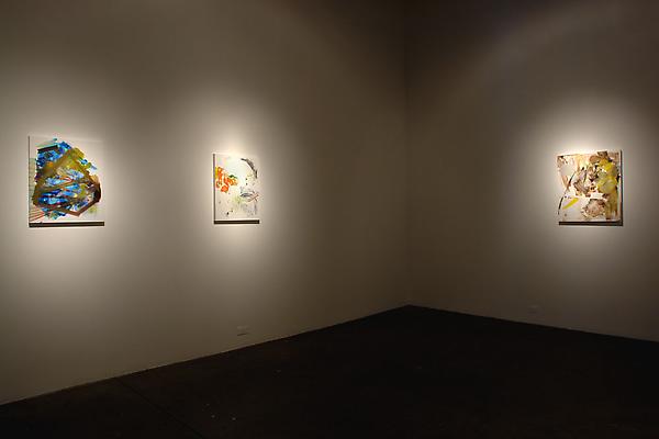 Nicole Mauser
Installation shot Image