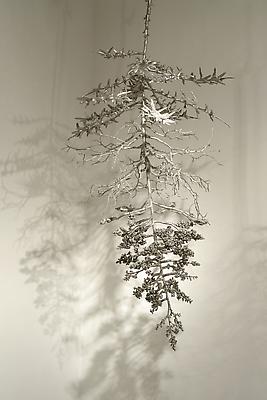 Carolyn Ottmers
Splice #16, 2010
cast stainless steel
dimensions variable Image