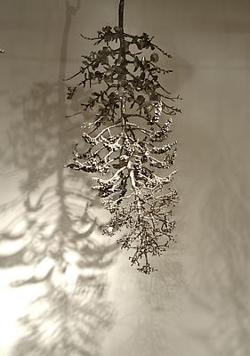 Carolyn Ottmers
Splice #4, 2010
cast stainless steel
dimensions variable Image