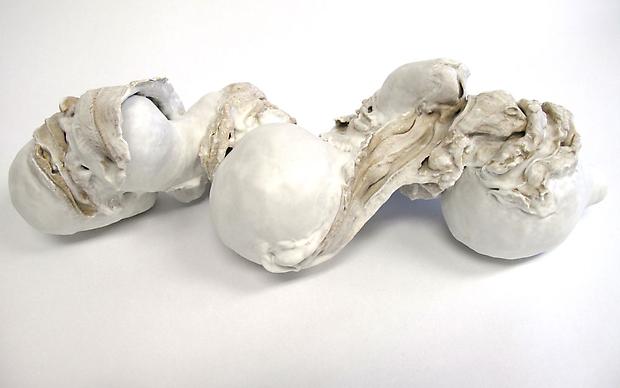 Noelle Allen
These Engulfing Folds, 2011
plaster, clay, epoxy, oil paint, and wax 
dimensions vary Image