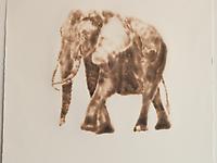 Group Exhibition: Gallery Artists