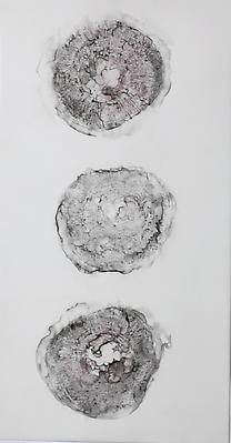 Hidden (States)
Graphite and watercolor on mylar
7.5 x 14.5 inches

Photo by Maurene Cooper Image