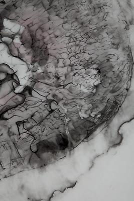 Hidden (States), 2012
Detail
Graphite and watercolor on mylar
7.5 x 14.5 inches

Photo by Maurene Cooper Image