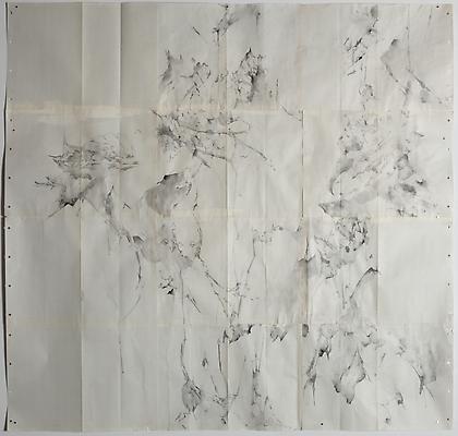 Trailing, 2012
Graphite and watercolor on blueprint
41 x 47 inches

Photo by Maurene Cooper Image