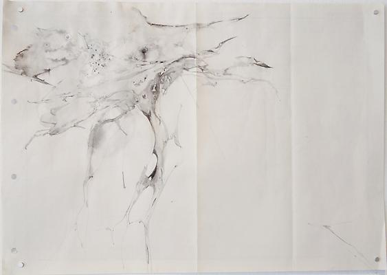 Untitled (Trellis Study), 2012
Graphite and watercolor on blueprint
16.5 x 11.5 inches

Photo by Maurene Cooper Image