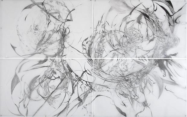 When all waters still, 2012
Graphite on Mylar
60 x 80 inches

Photo by Maurene Cooper Image