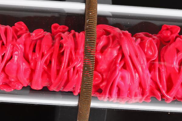 Sender, channel, receiver, source, 2012
Detail
Glass, metal, clay and thorns
Series of three pieces
44 h. x 5 x 4 inches

Photo by Maurene Cooper Image