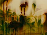 Matthew Brown: Ark