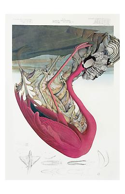 Megan Greene
431 (1), 2010
mixed media on paper
39 1/4 x 26 1/4 inches Image