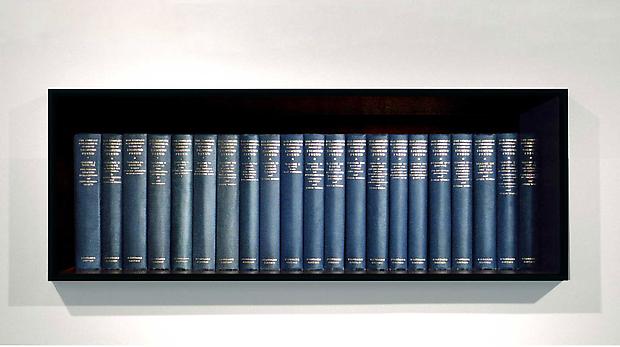 Freud 2 (spines), 2010
c-print mounted to Plexiglas and wood frame
18 X 39 X 2 inches
Edition of 7 Image
