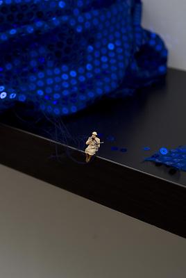 Forced Labor (Seamstress), 2012
Detail
Shelf with figurine and fabric, wall installation
10 x 43 x 10 1/4 inches Image
