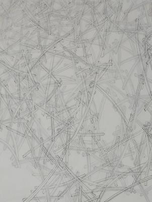 Lattice, 2012
Graphite on archival polyester film, mounted to wood panel
16 h. x 12 inches Image