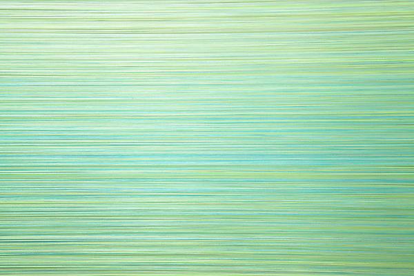 zip drawing, 2012
Detail
Egyptian cotton thread and staples
8 h. x 10 x 35 feet
Installation view at Carrie Secrist Gallery, Chicago

Photo by Derek Porter Image