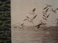 Scorched: New Work by Helen Altman