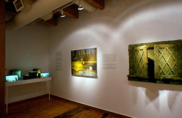 Installation view, 10th Anniversary Exhibition at Carrie Secrist Gallery Image