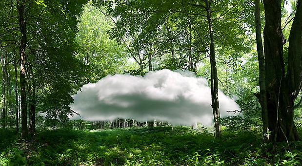 Studies in Solitude, Cloud 1, 2011
Archival inkjet print
25 x 60 inches Image