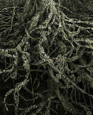 Xylem, 2011
Detail
Metallic c-print mounted between aluminum and 1/4 inch Plexiglas
8 x 20 feet (Five Panels, Edition of three)
42 x 105 inches (Single Panel, Edition of five) Image