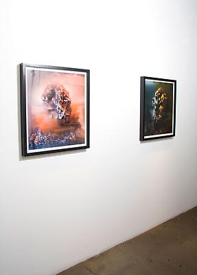 Kim Keever installation shot Image