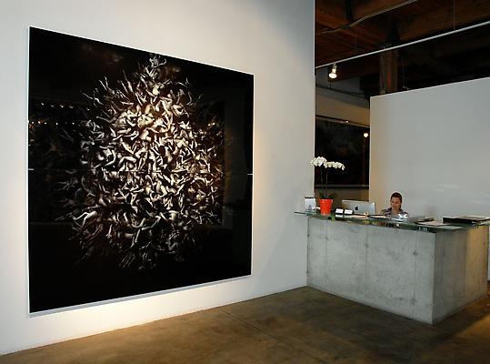 Progeny, 2010 (installation shot) 
edition of 5 plus 2 AP
c print printed on metallic photo paper, mounted between aluminum and 1/4 inch Plexiglas
96 x 96 inches  (2 panels) Image
