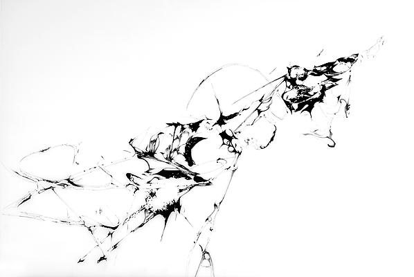 Lattice and Tension (01), 2008
Graphite on Mylar
42 x 30 inches Image